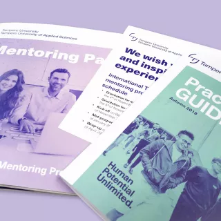 Mentoring practical guide
